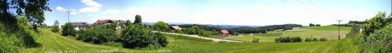Gasthaus-Pension Hilmer Falkenfels Zewnętrze zdjęcie